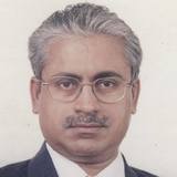 Nadi Ganesan Viswanathan Photo