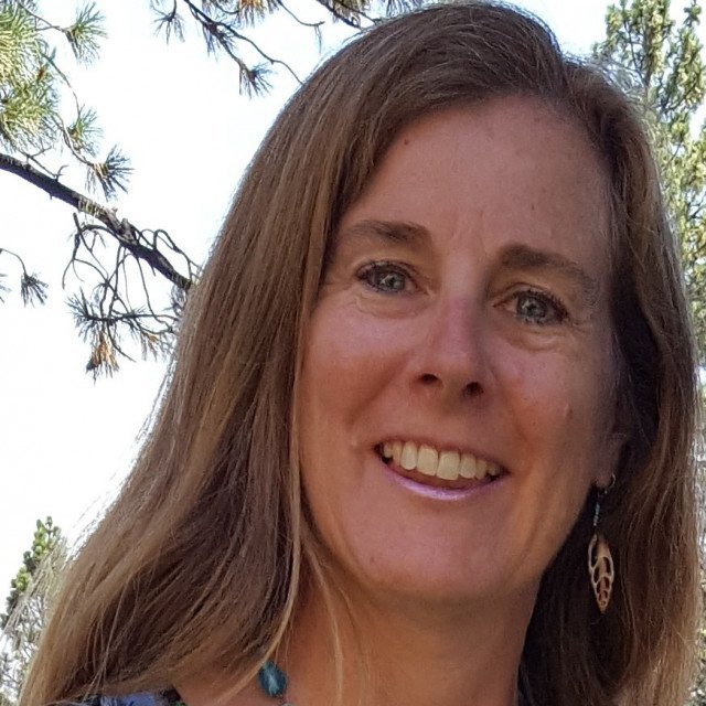 Attorney Robin R. Gregory LII Attorney Directory