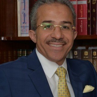 Mahmoud M Mostafa