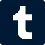 Tumblr Icon