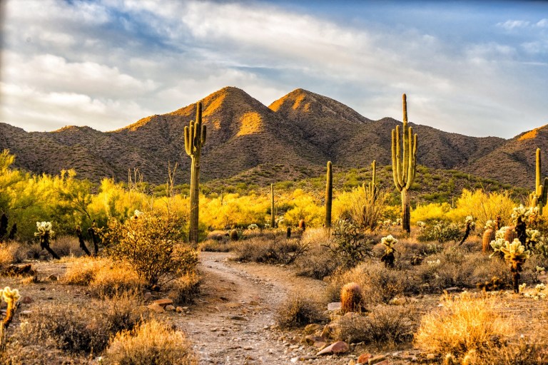 Arizona Expands Path to Attorney Licensure Arizona Expands Path to Attorney Licensure
