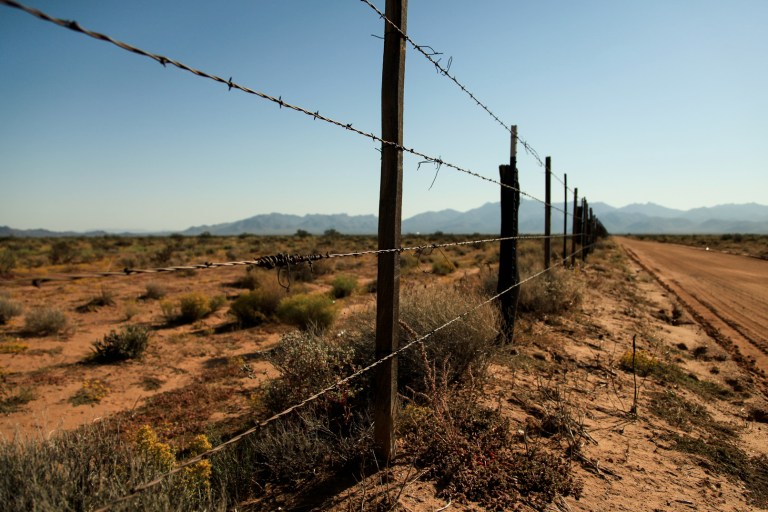 Trump Administration Drops Lawsuits Over State Immigration Laws