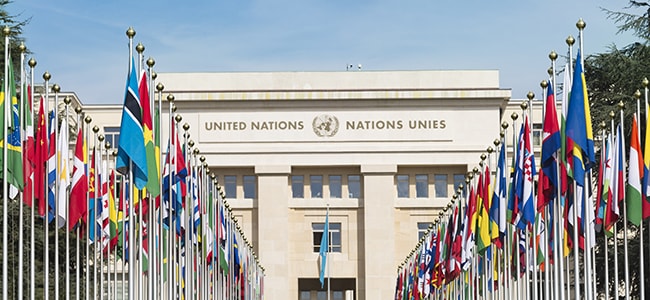 International Law Center