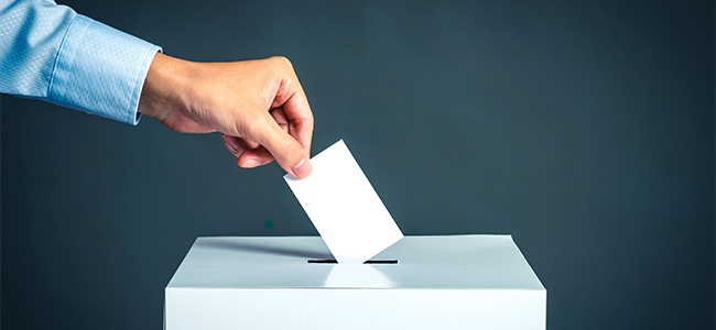 Proceso Electoral Federal